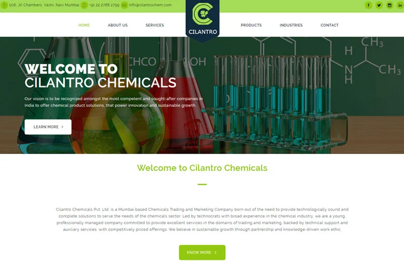 Chemical Trading Website Designing